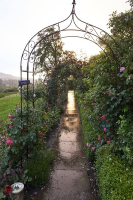 rosenfest_2016_114