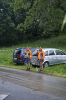 rosenfest_2016_143