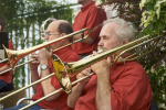 rosenfest_2016_146