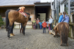 rosenfest_2016_176