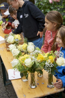 rosenfest_2016_181