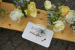 rosenfest_2016_183