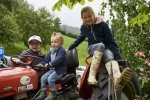 rosenfest_2016_190