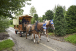rosenfest_2016_195